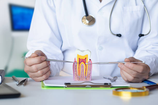Best Cracked Tooth Emergency Dentist  in Kings Beach, CA